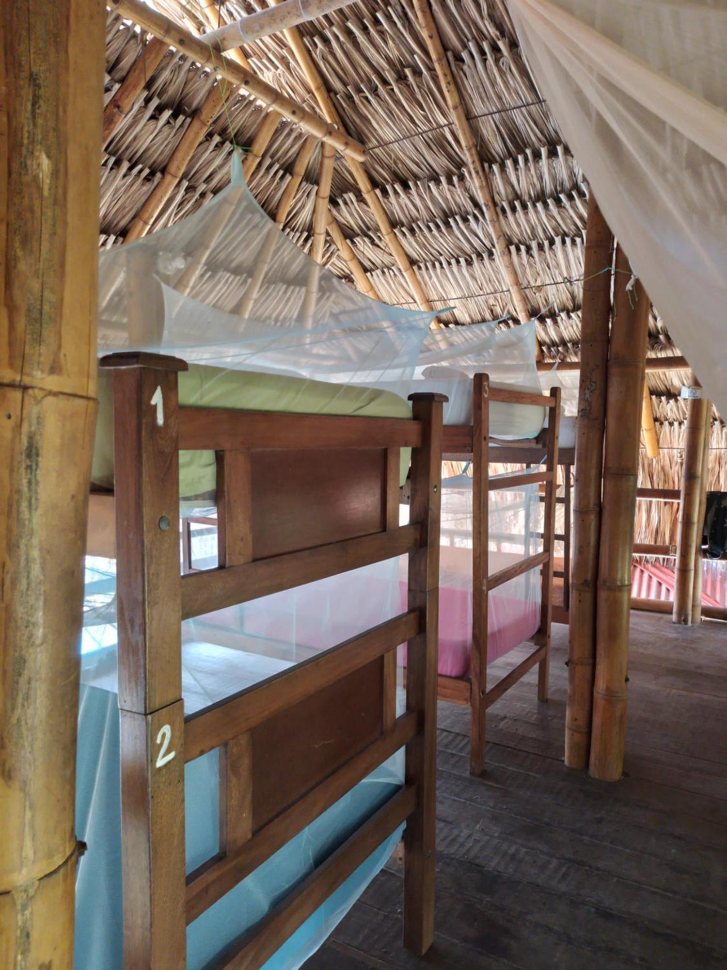 Kaluta Hostel Palomino Luaran gambar